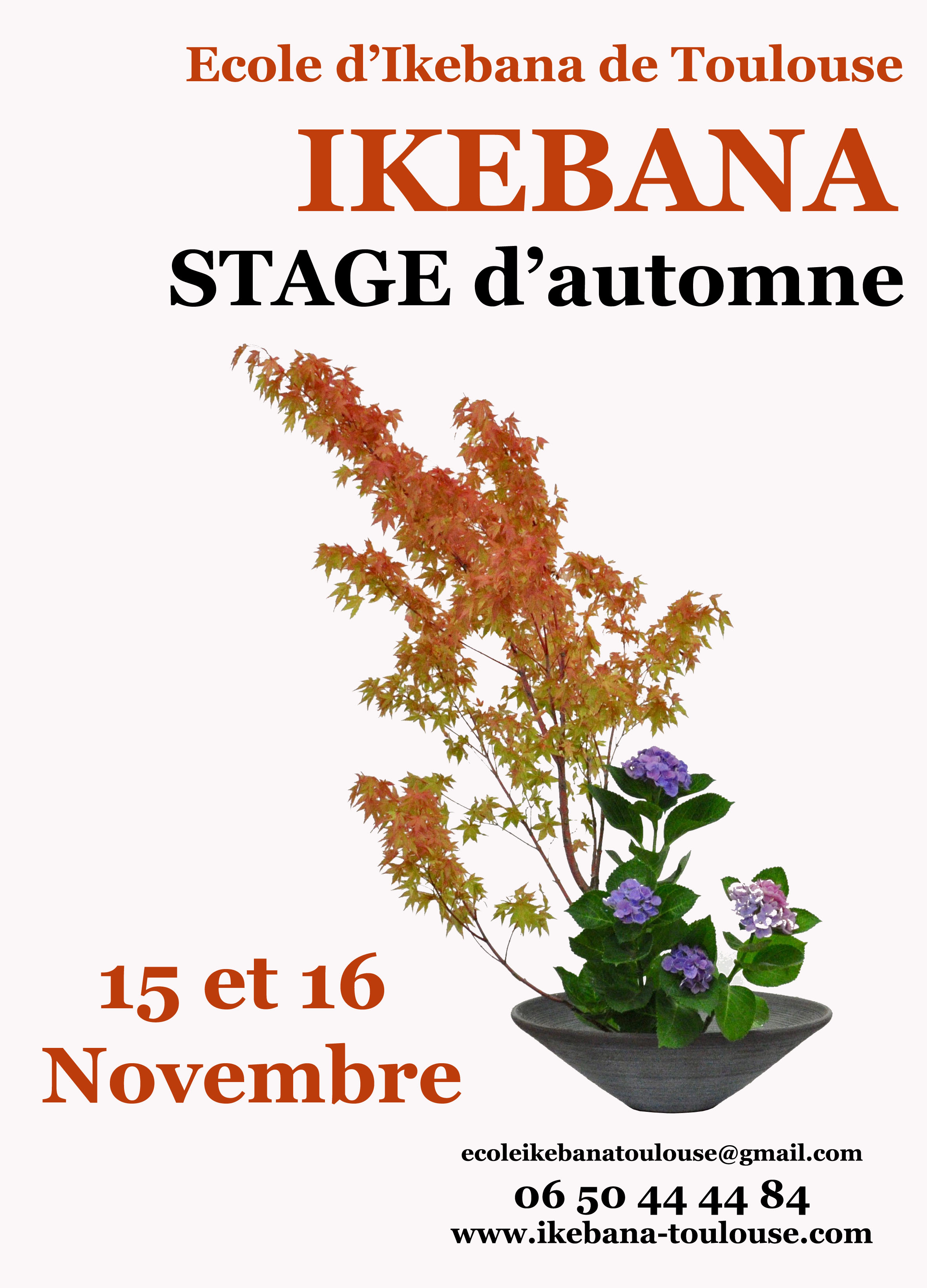 affiche stage automne 2025
