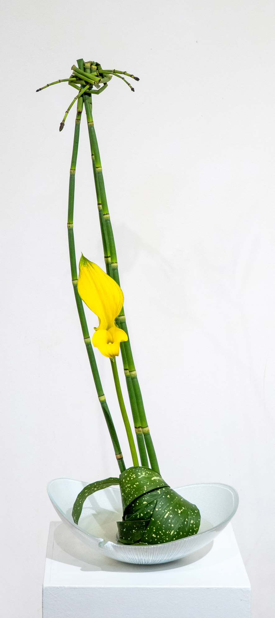 09 Expo 5 2026