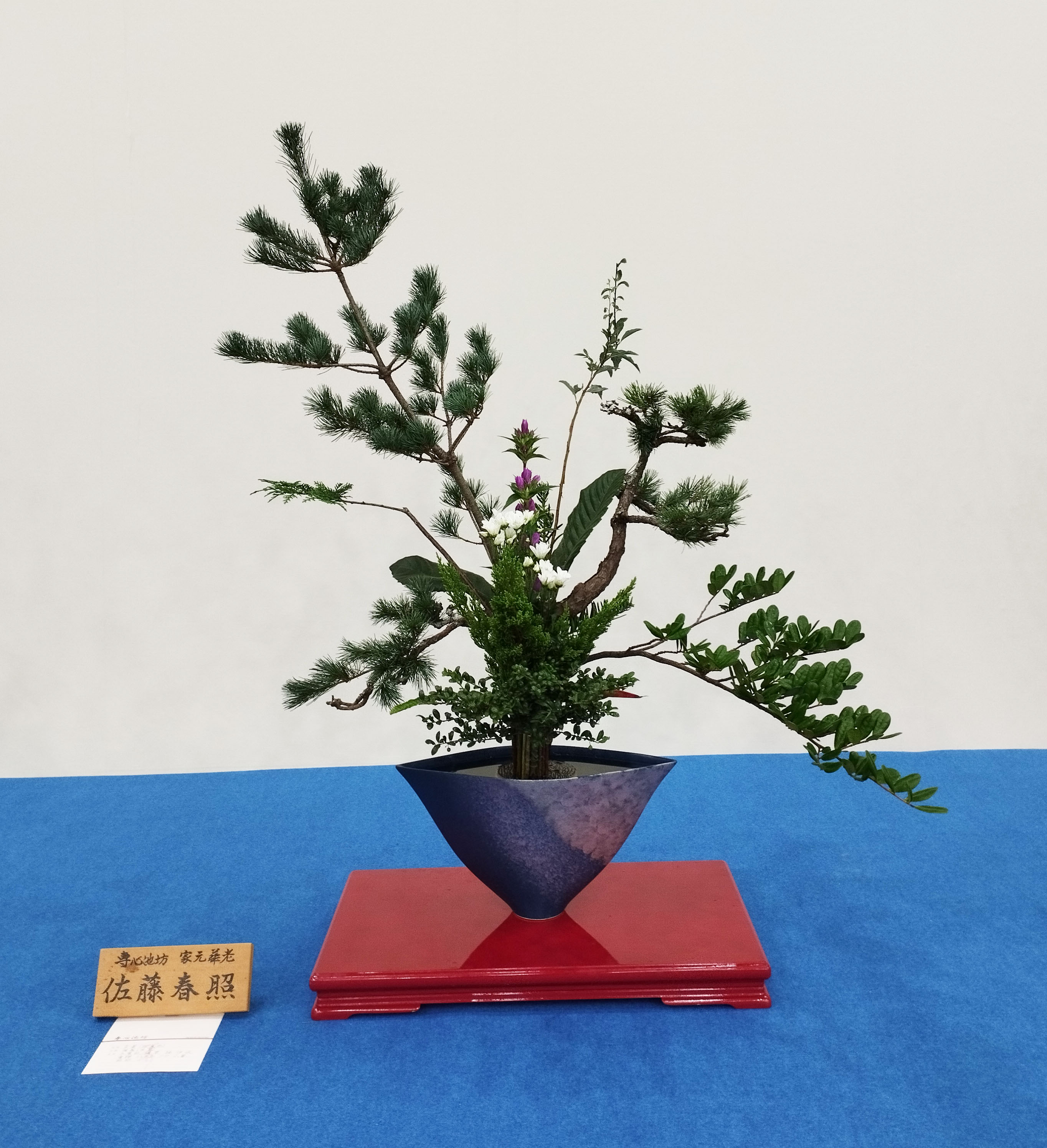 IMG 20250919 094553